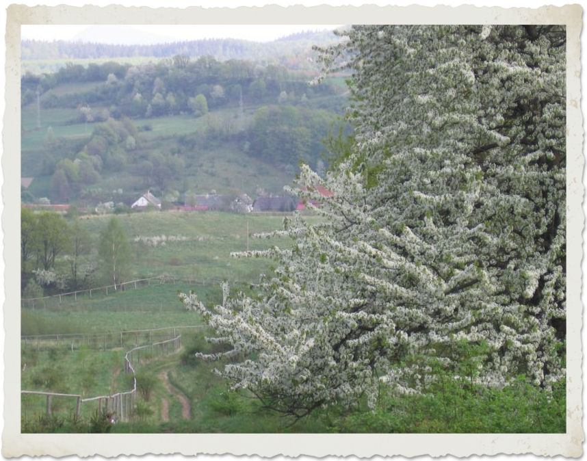 album_par_0043.jpg