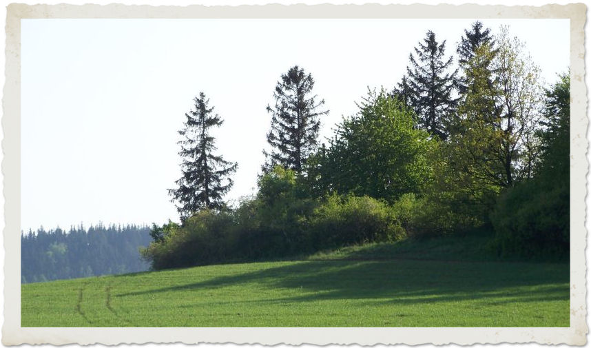 album_par_0077.JPG