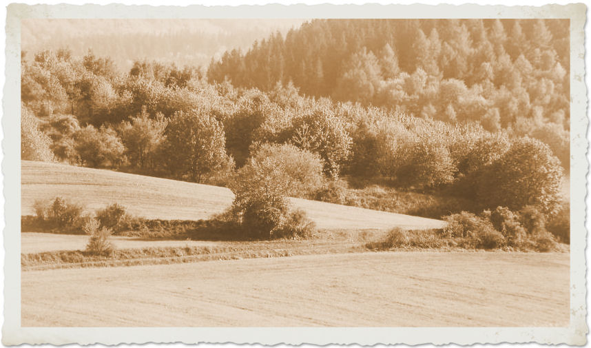 album_par_0078.jpg