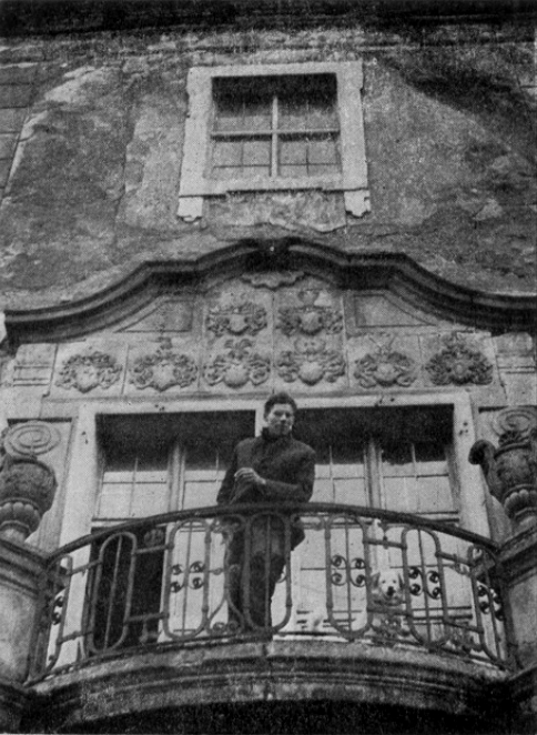 Pałac w Strudze